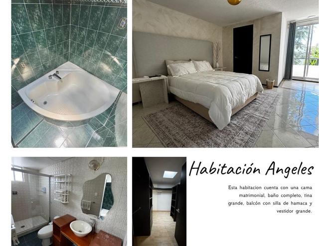 Foto de la galeria de imagenes